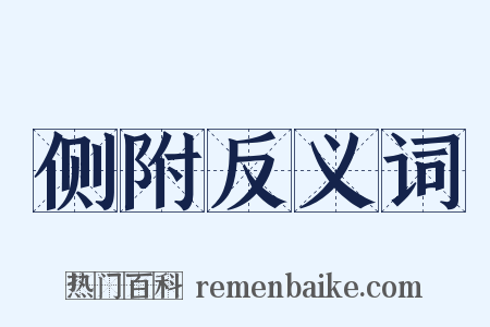 侧附反义词是什么意思的图片